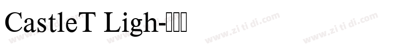 CastleT Ligh字体转换